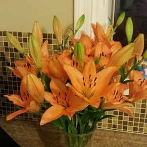 Meet your Posher, Heather